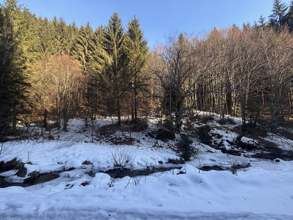 De vânzare: Teren extravilan – 4176 mp, zona Șanta, Rășinari, Sibiu