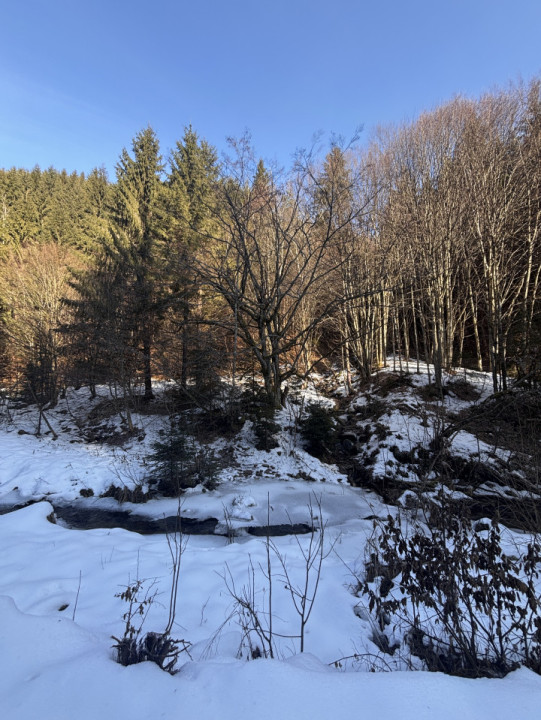 De vânzare: Teren extravilan – 4176 mp, zona Șanta, Rășinari, Sibiu
