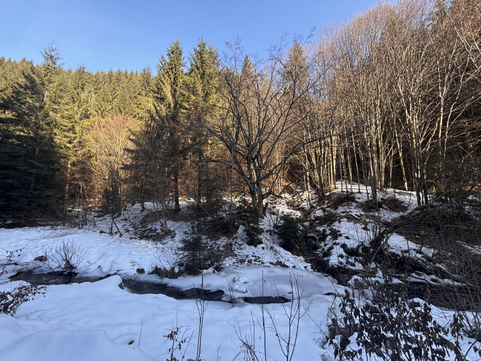 De vânzare: Teren extravilan – 4176 mp, zona Șanta, Rășinari, Sibiu
