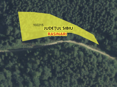 De vânzare: Teren extravilan – 4176 mp, zona Șanta, Rășinari, Sibiu